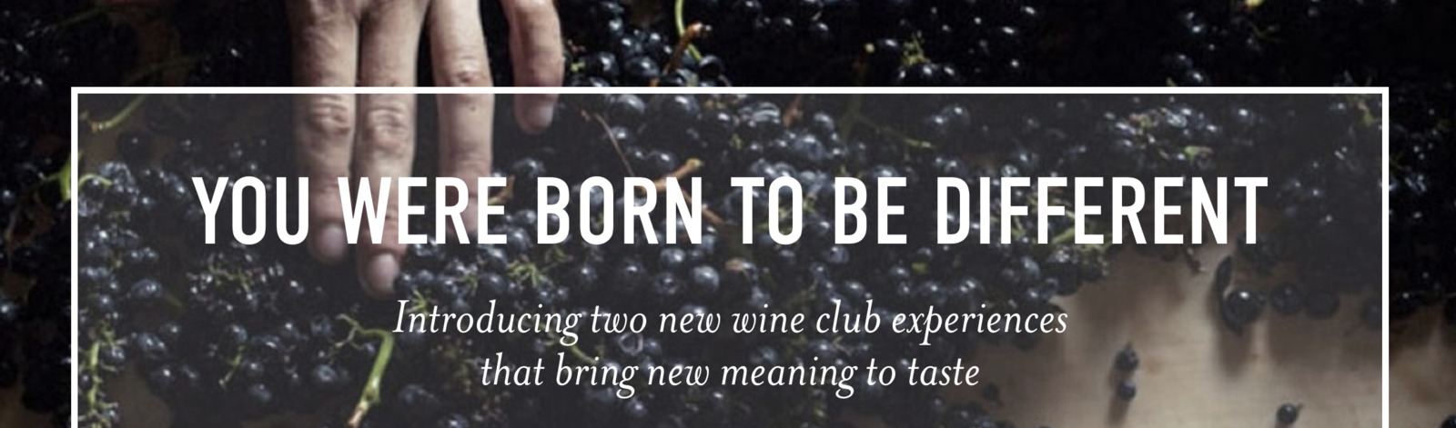 screen shot 2019 11 12 at 11 12 02 am