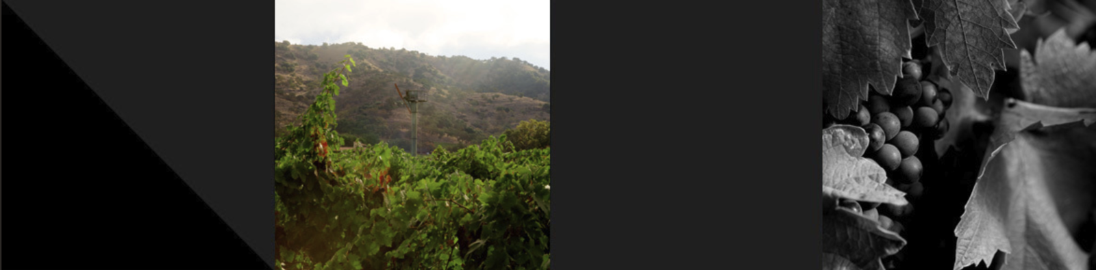 screen shot 2019 11 14 at 1 42 26 pm